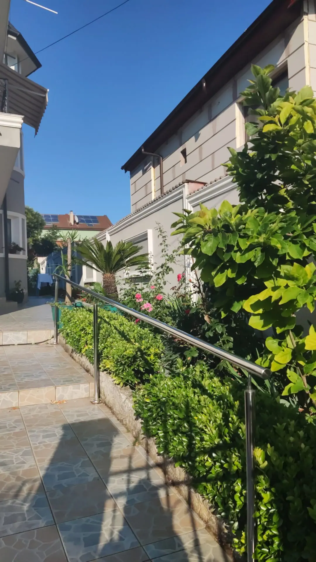 Vila Cătălin – alee și grădină